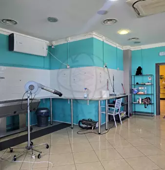 Foto annuncio 6