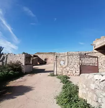Foto annuncio 5