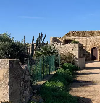 Foto annuncio 12