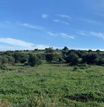 Foto annuncio 23