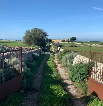 Foto annuncio 24