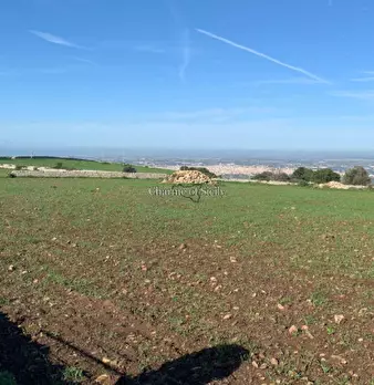 Foto annuncio 26