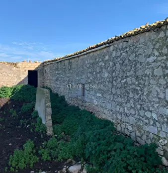 Foto annuncio 29