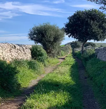 Foto annuncio 39
