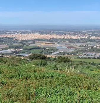 Foto annuncio 40