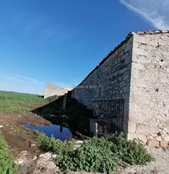 Foto annuncio 42