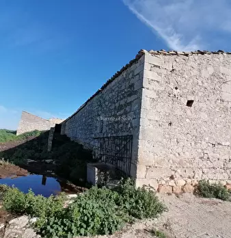 Foto annuncio 43