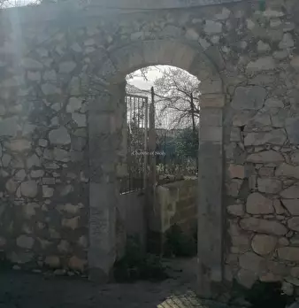 Foto annuncio 46