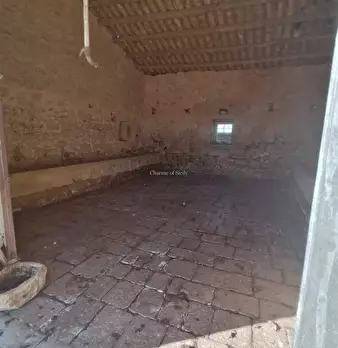 Foto annuncio 47
