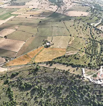 Foto annuncio 58