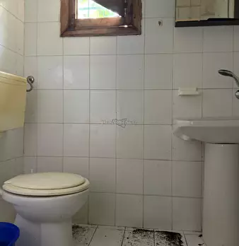 Foto annuncio 60