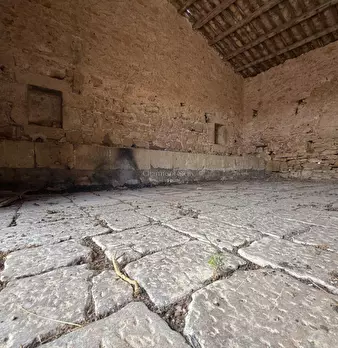 Foto annuncio 61