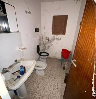 Foto annuncio 18