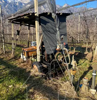 Foto annuncio 10