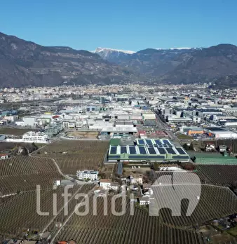 Foto annuncio 2