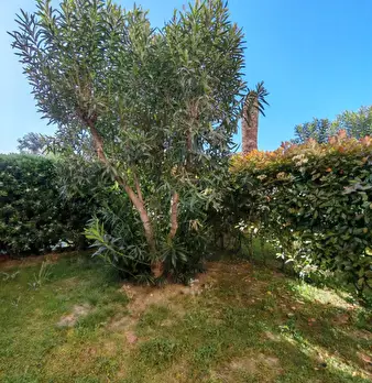 Foto annuncio 9