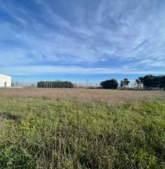 Foto annuncio 3