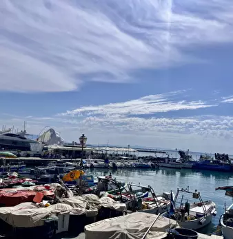 Foto annuncio 28