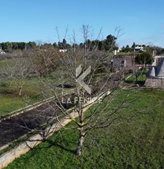 Foto annuncio 13