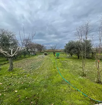 Foto annuncio 18