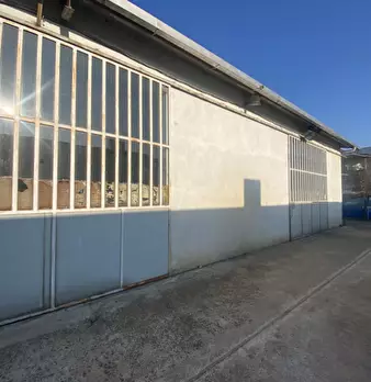 Foto annuncio 5