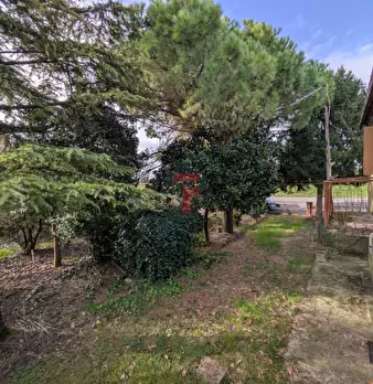 Foto annuncio 1