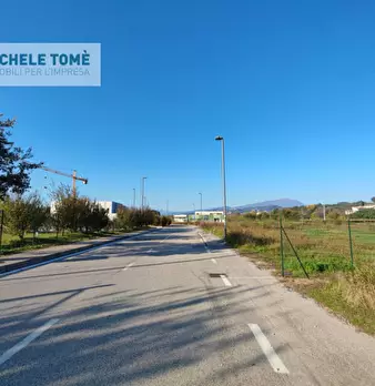 Foto annuncio 8