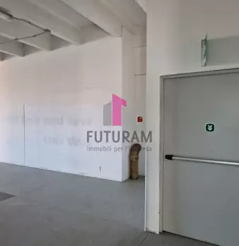 Foto annuncio 15