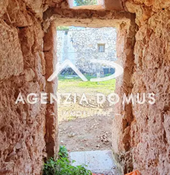 Foto annuncio 13