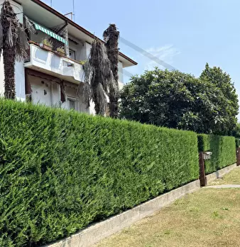 Foto annuncio 25