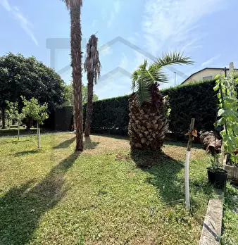 Foto annuncio 31
