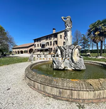 Foto annuncio 50