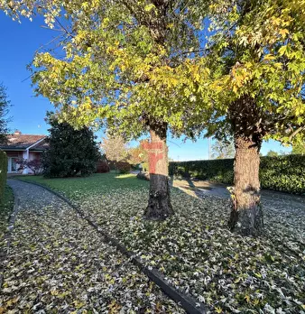 Foto annuncio 27