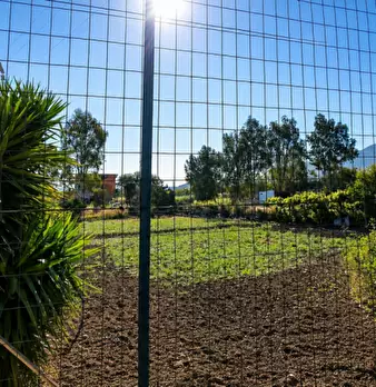Foto annuncio 3