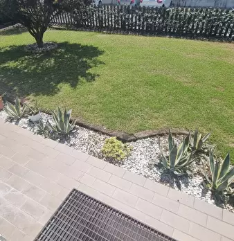 Foto annuncio 9