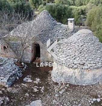 Foto annuncio 2