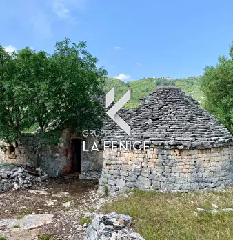 Foto annuncio 17
