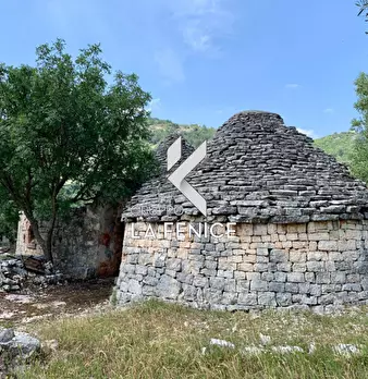 Foto annuncio 18
