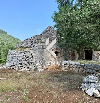 Foto annuncio 20