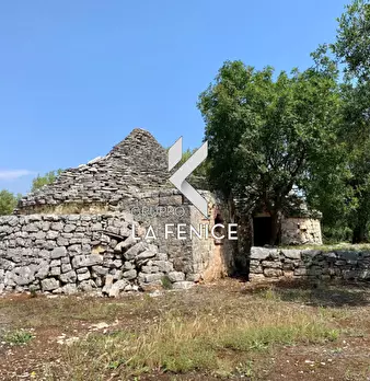 Foto annuncio 24