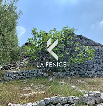 Foto annuncio 29