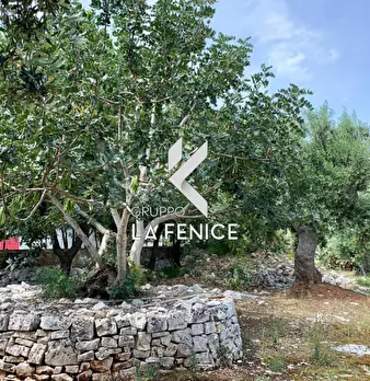Foto annuncio 36