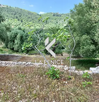 Foto annuncio 39
