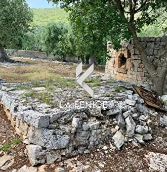 Foto annuncio 42