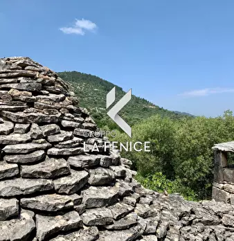 Foto annuncio 48