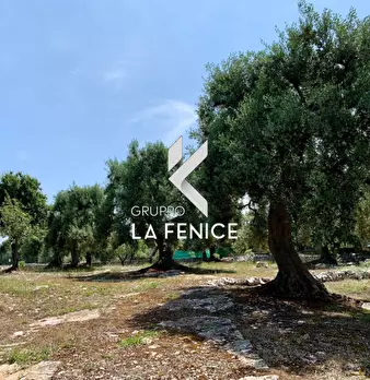 Foto annuncio 56