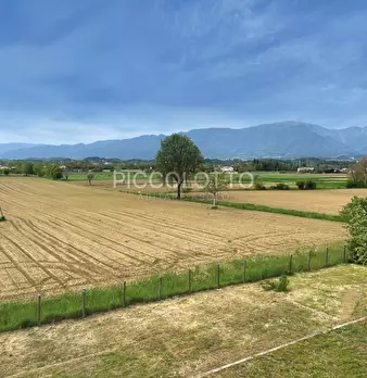 Foto annuncio 19