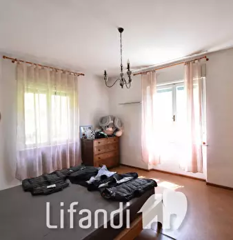Foto annuncio 6
