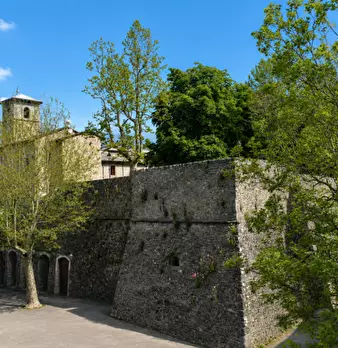 Foto annuncio 5