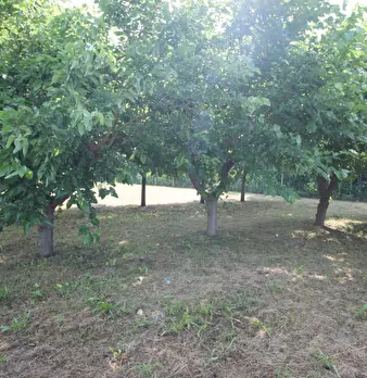 Foto annuncio 5